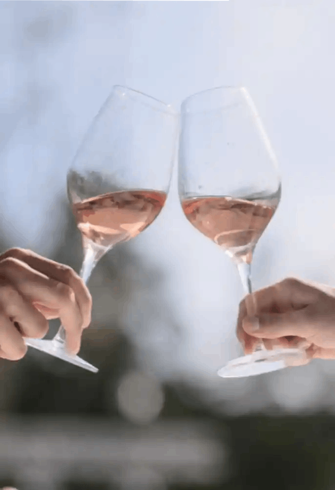 southern france rose wines